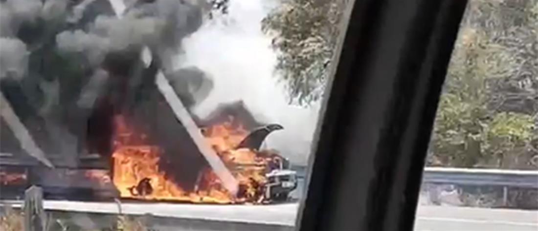 Φωτιά στην Κύπρο: “Μάχη” με τις φλόγες (εικόνες)