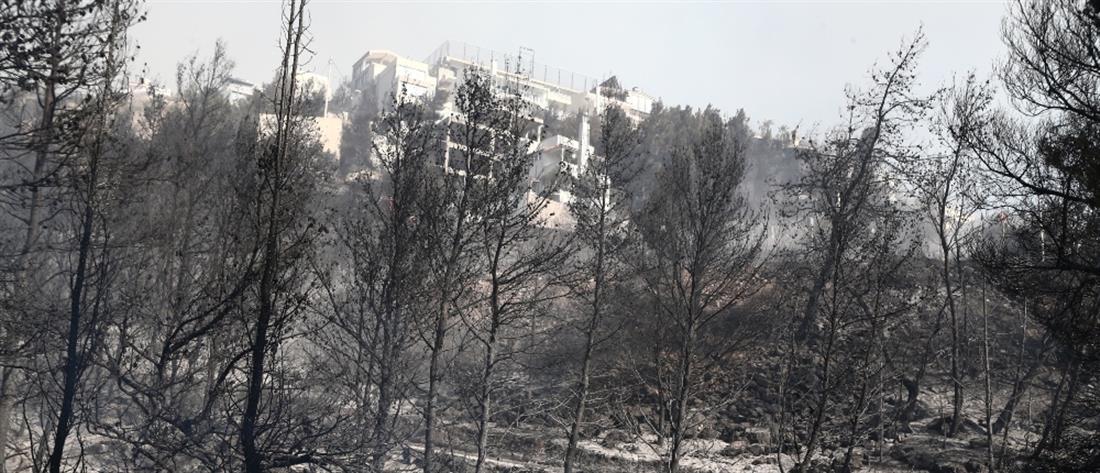 Φωτιά στη Βούλα: οι εικόνες καταστροφής από drone (βίντεο)