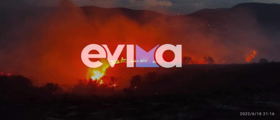 Φωτιά στην Εύβοια: δύσκολη νύχτα στη Γαία (εικόνες)