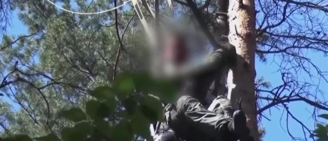 Eurofighter: Καρέ - καρέ η διάσωση του πιλότου που βρέθηκε πάνω σε δέντρο (βίντεο)