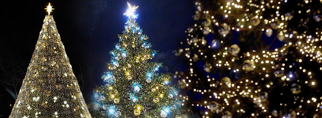 Χριστουγεννιάτικο Δέντρο: Πώς έφτασε το έθιμο στην Ελλάδα