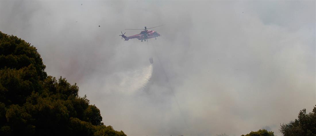 Φωτιά στην Κερατέα: Κοινοτάρχης “αγνοεί” το 112 για εντολή εκκένωσης