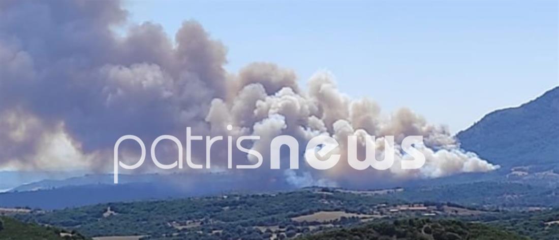 Φωτιά στην Αχαΐα - Εκκενώνεται οικισμός (εικόνες)