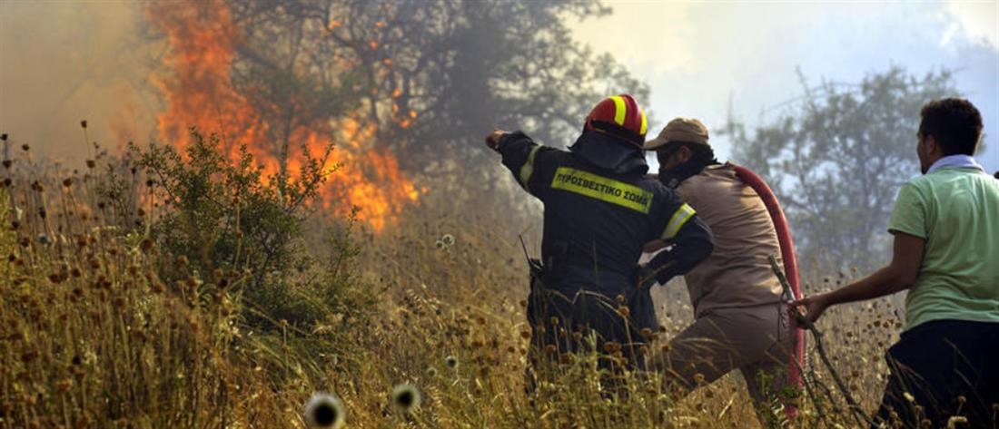 Φωτιές: Το δώρο Έλληνα πυροσβέστη σε Ρουμάνο συνάδελφό του