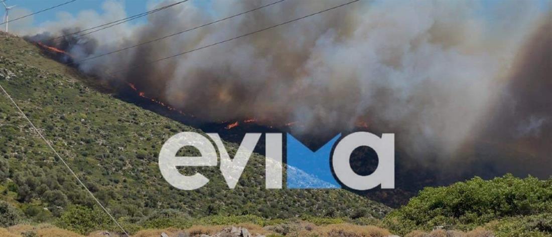 Φωτιά στην Εύβοια: Εκκένωση χωριών (βίντεο)