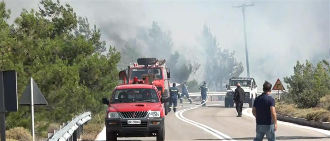 Φωτιά στην Xίο: Εκκένωση οικισμών - Τραυματισμός πυροσβέστη (εικόνες)