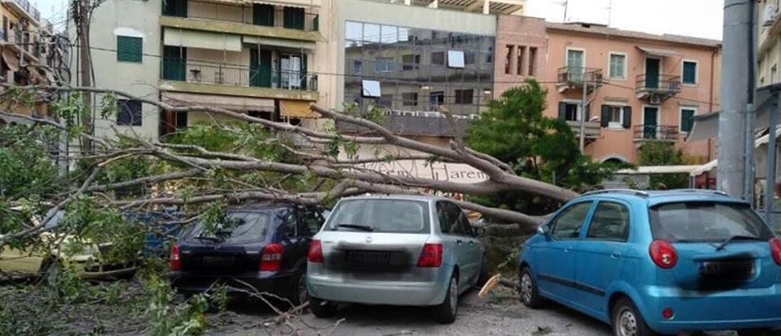 Κακοκαιρία - Πυροσβεστική: “Βροχή” οι κλήσεις για απεγκλωβισμούς και πτώσεις δέντρων