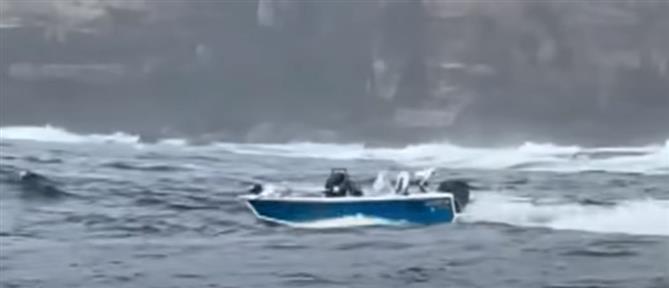 Αυστραλία: Φάλαινα αναποδογύρισε σκάφος - Νεκρός ο ένας επιβάτης (βίντεο)